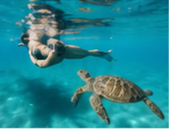A swimmer beside a sea turtle
